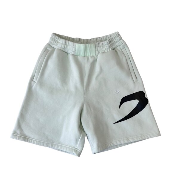 Boxraw Womens Boyfriend Shorts Mint Green Sweat Shorts Casual Size Large - Picture 1 of 15